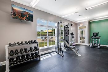 Free Weight Area